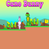 Cano Bunny Game: A Fun-Filled Adventure for Everyone